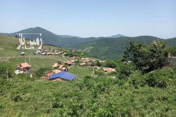 زمین ییلاقی داخل بافت در کوه اسطلخ پلسفید سوادکوه-3