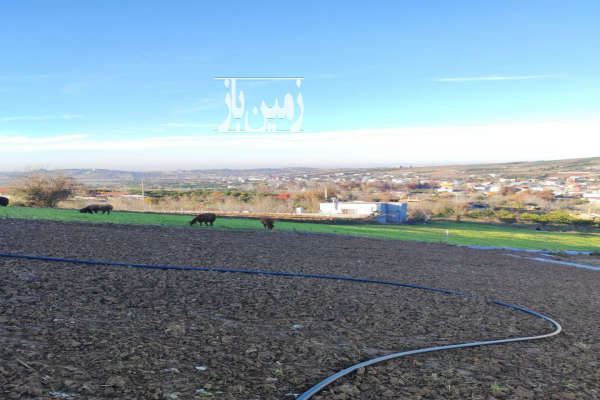 زمین با ویو عالی کل محل در ساری روستای اسبوکلا-3