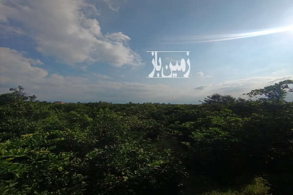 زمین باغی روستای شیرسوار بابل داخل بافت دارای انشعابات-1