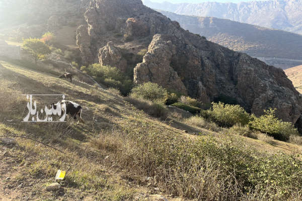 زمین در روستای شورآب ورسک ۲۰۰ متر-3