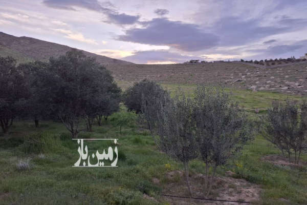 باغ در نزدیکی شیرازداریون ۲۴۰۰ متر-1