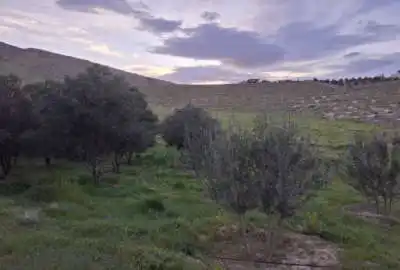 باغ در نزدیکی شیرازداریون ۲۴۰۰ متر
