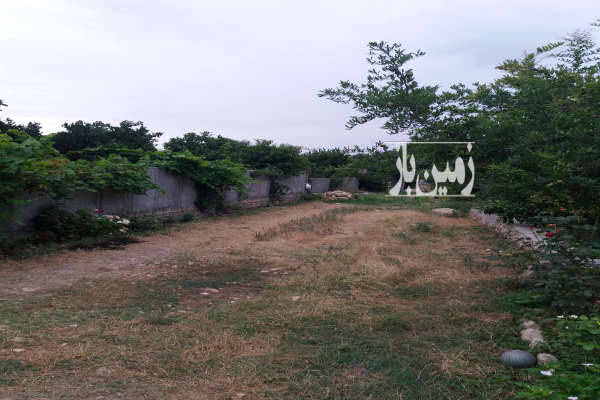 زمین ۲۷۷ متری در بهشهر روستای التپه-1