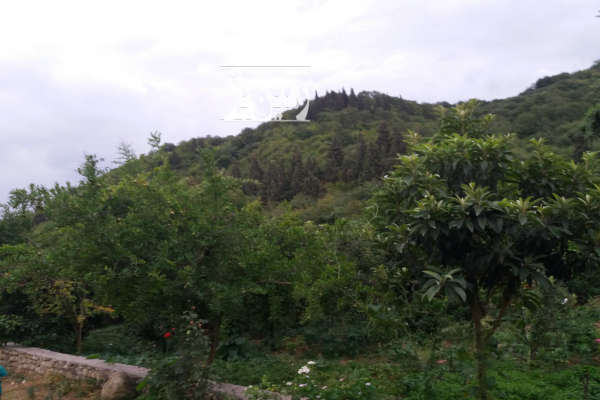 زمین ۲۷۷ متری در بهشهر روستای التپه-2