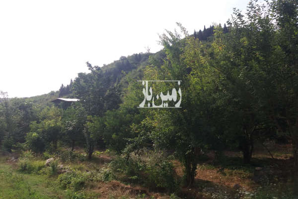 زمین ۲۷۷ متری در بهشهر روستای التپه-3