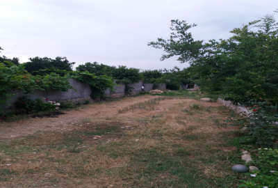 زمین ۲۷۷ متری در بهشهر روستای التپه