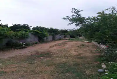 زمین ۲۷۷ متری در بهشهر روستای التپه
