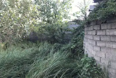 زمین به مساحت ۲۲۸ متر مسکونی در شلمان