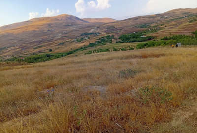 زمین کشاورزی در منطقه دریابک زرشک با قیمت مناسب