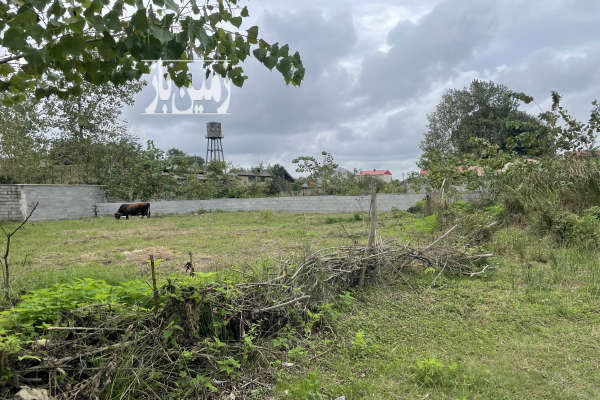 زمین مسکونی موقعیت عالی سند و جواز دار در چوبه-3