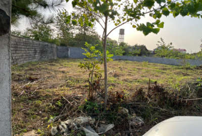 زمین مسکونی موقعیت عالی سند و جواز دار در چوبه