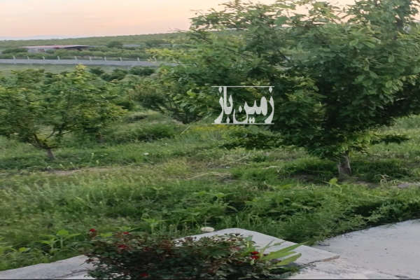 زمین باغی ۲۶۰۰ متری با خانه باغ و استخر در پسته بیگ-3