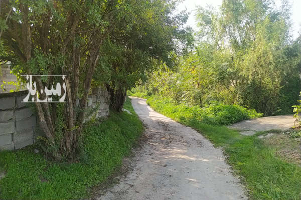 زمین مسکونی ۸۰۰ متری جاده قدیم بابل به آمل-1