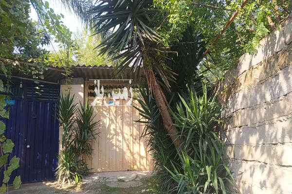 زمین مسکونی ۸۰۰ متری جاده قدیم بابل به آمل-2