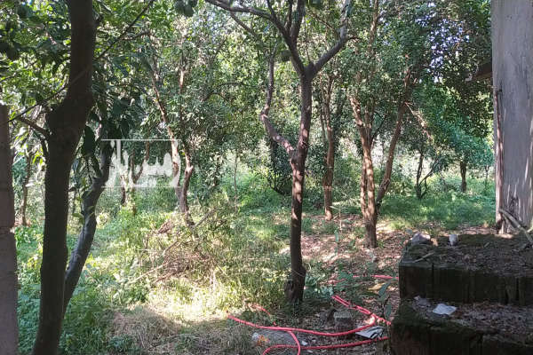 زمین مسکونی ۸۰۰ متری جاده قدیم بابل به آمل-4