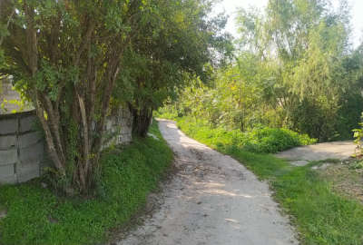 زمین مسکونی ۸۰۰ متری جاده قدیم بابل به آمل