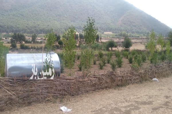 زمین باغی ودامداری دوربر بعداز باغ تاشته-1
