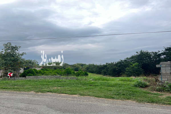 باغ پرتقال ۳۶۰۰ متری واقع در شیرود فقیه محله-3