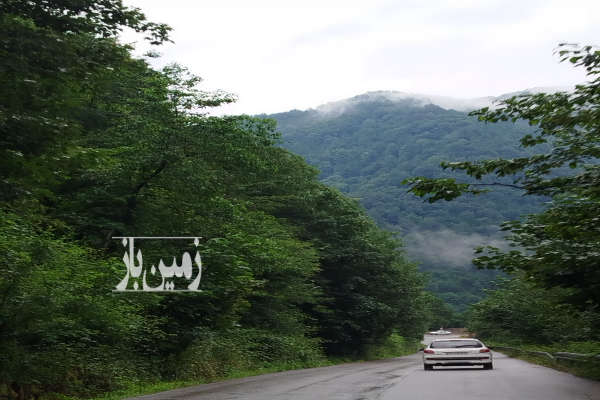 زمین مسکونی باغی سیاهکل روستای توتکی-1