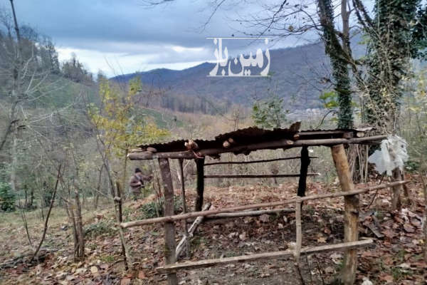 زمین مسکونی باغی سیاهکل روستای توتکی-2