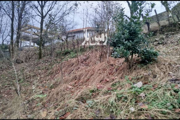 زمین مسکونی باغی سیاهکل روستای توتکی-3