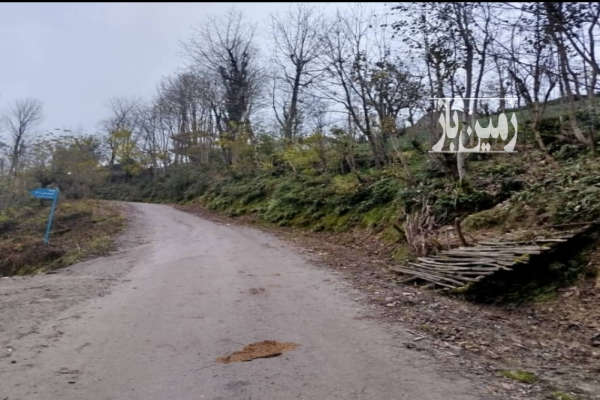 زمین مسکونی باغی سیاهکل روستای توتکی-4