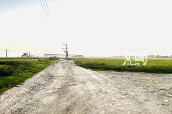 زمین کشاورزی ۶۰۰۰ متر در روستای زاغده جاده سیاهکلا-2