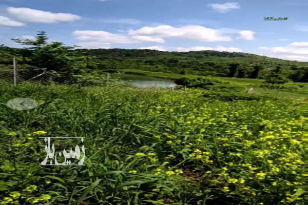 زمین ۱۲۶۰متر ویو عالی در هولار روستای شبکلا-1