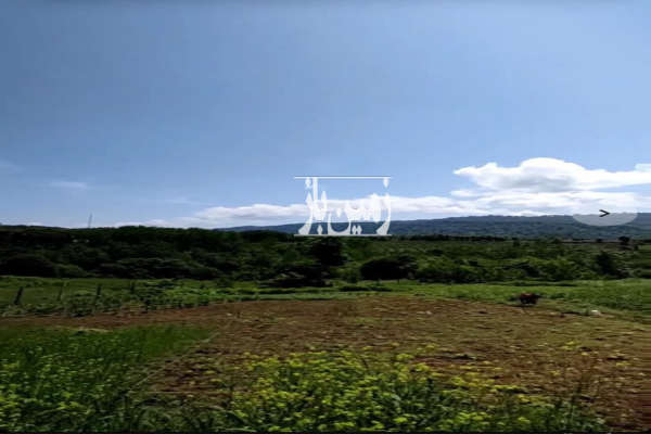 زمین ۱۲۶۰متر ویو عالی در هولار روستای شبکلا-2