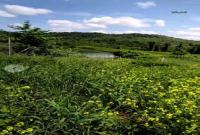 زمین ۱۲۶۰متر ویو عالی در هولار روستای شبکلا