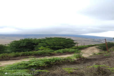 زمین ییلاقی داخل بافت ویو ابدی دودانگه روستای ولیکبن