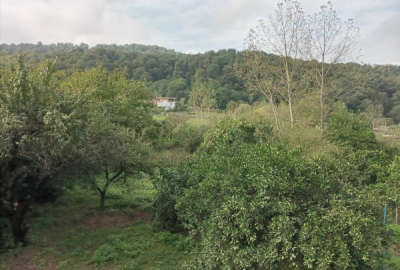 زمین مسکونی ۳۵۰ متر در شیرگاه منطقه گردشگری اندارگلی