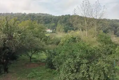 زمین مسکونی ۳۵۰ متر در شیرگاه منطقه گردشگری اندارگلی