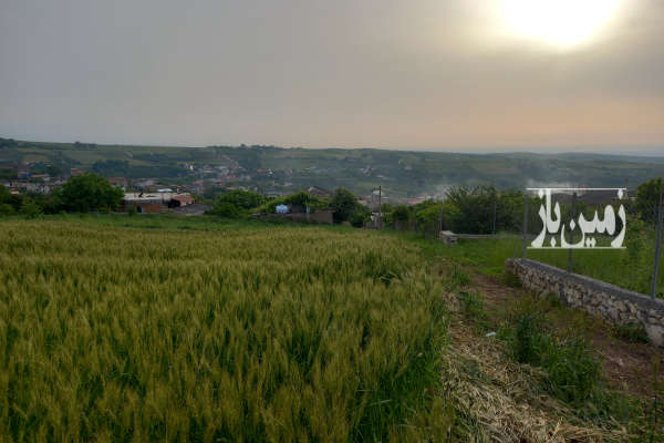 زمین ۵۵۰ متری واقع در روستای قلعه سر-1