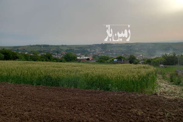 زمین ۵۵۰ متری واقع در روستای قلعه سر-3