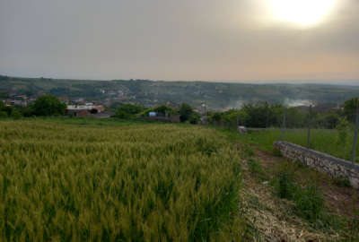 زمین ۵۵۰ متری واقع در روستای قلعه سر