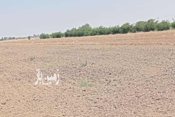 زمین در کردکوی جاده بندرگز ۲۰۰۰ متر-3