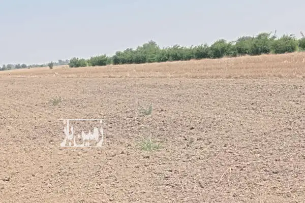 زمین در کردکوی جاده بندرگز ۲۰۰۰ متر - تصویر 2