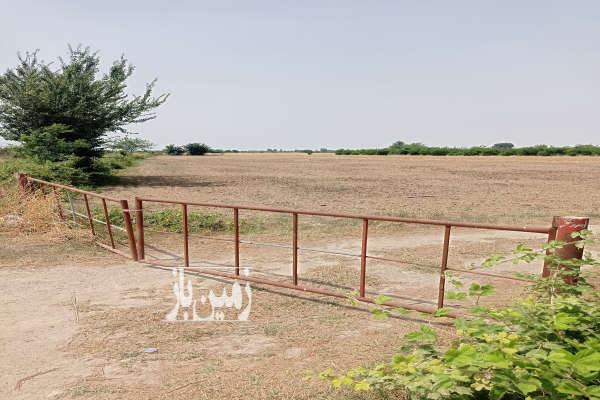 زمین در کردکوی جاده بندرگز ۲۰۰۰ متر-4