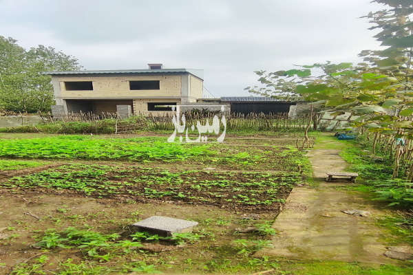 زمین مسکونی ۱۰۰ متر رشت جانبازان کوی گلشن-3