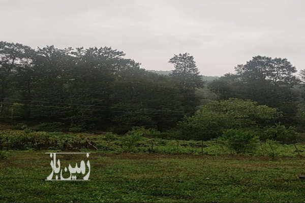 زمین مسکونی در روستای سیاهرود ۲۴۰ متر-1
