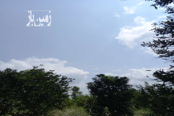 زمین مسکونی ۲۰۰ متری روستای انارستان بابلکنار-1