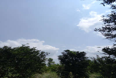 زمین مسکونی ۲۰۰ متری روستای انارستان بابلکنار