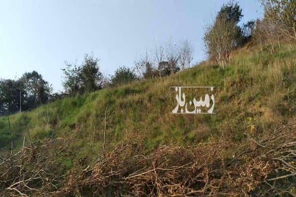زمین باغ گیلاس و آلبالو در هزارجیریب ولامده-1