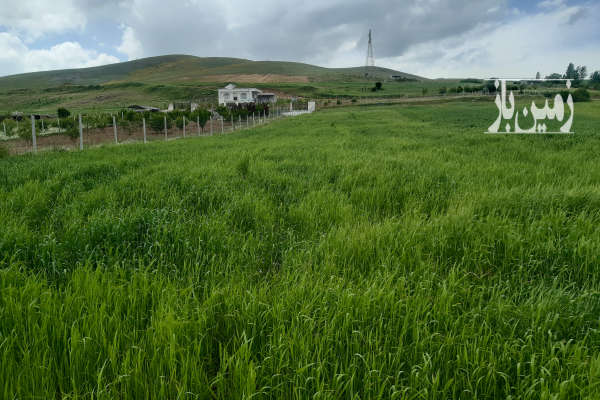 زمین خام جهت باغ جاده بانه دوربرگردان بانه-3
