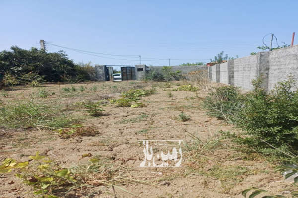 زمین ۵۰۰ متری واقع در فرح اباد روستای حمیداباد-2