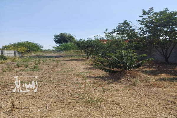 زمین ۵۰۰ متری واقع در فرح اباد روستای حمیداباد-3