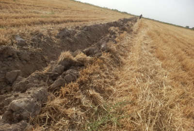 زمین زراعی با مجوز گلخانه و سند تک برگ روستای آجربست