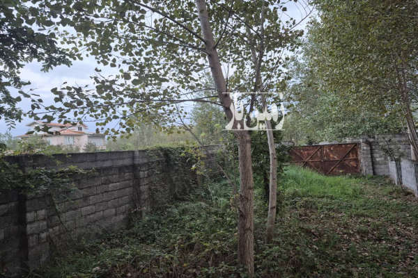 زمین ۱۰۷۰ متر مسکونی بازکیاگوراب لاهیجان-2