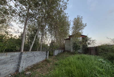 زمین ۱۰۷۰ متر مسکونی بازکیاگوراب لاهیجان